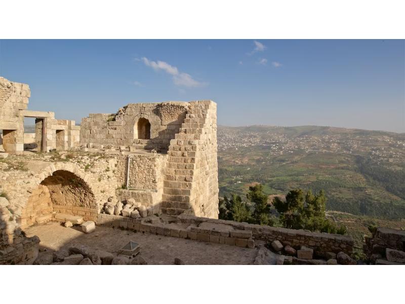 Excursion d'une journée à Jerash et au château d'Ajloun au départ d'Amman (AC-JHT-006)